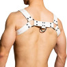 BDSMaster Harnais Chest All Blanc